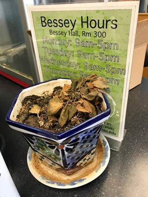 A dead, brown plant in a blue pot sitting in front of a writing center schedule posted on the Writing Center table